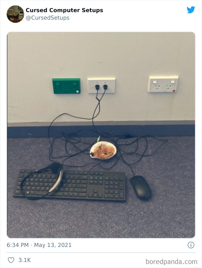 Cursed-Computer-Setups