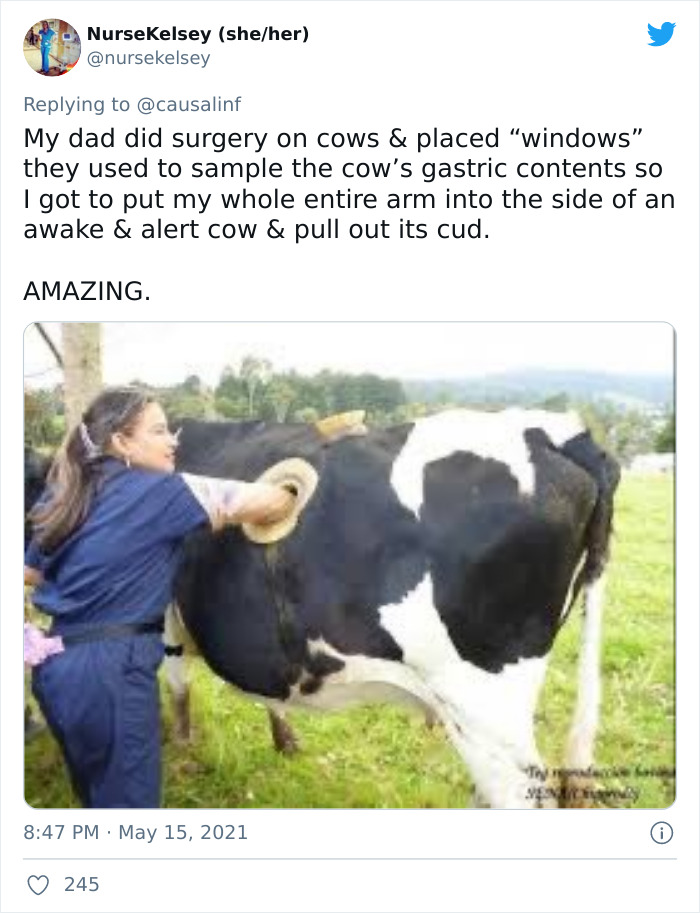 Perks-Kid-Parents-Job