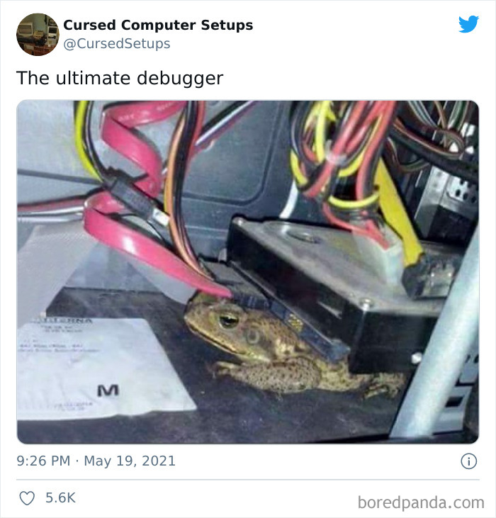 Cursed-Computer-Setups