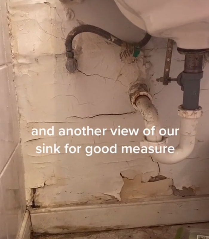 Landlord Wants To Increase The Rent, Tenant 'Sabotages' Apartment Showings By Putting Every Problem In Her Apartment On Display Landlord Wants To Increase The Rent, Tenant 'Sabotages' Apartment Showings By Putting Every Problem In Her Apartment On Display