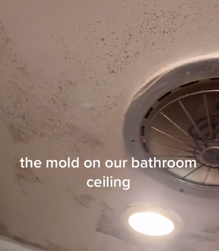 Landlord Wants To Increase The Rent, Tenant 'Sabotages' Apartment Showings By Putting Every Problem In Her Apartment On Display Landlord Wants To Increase The Rent, Tenant 'Sabotages' Apartment Showings By Putting Every Problem In Her Apartment On Display