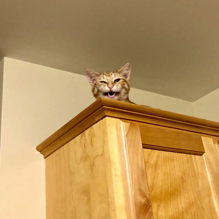 Hurricane Teddy Mid Yawn