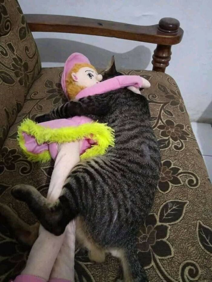 This Facebook Page Is All About Animal Images That Need To Be Seen (100 New Pics)