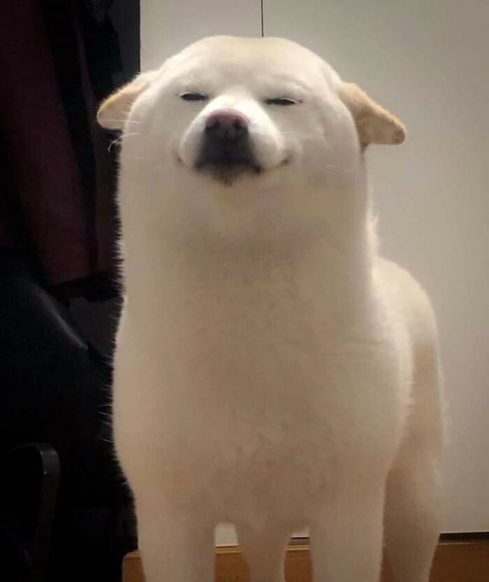 This Facebook Page Is All About Animal Images That Need To Be Seen (100 New Pics)