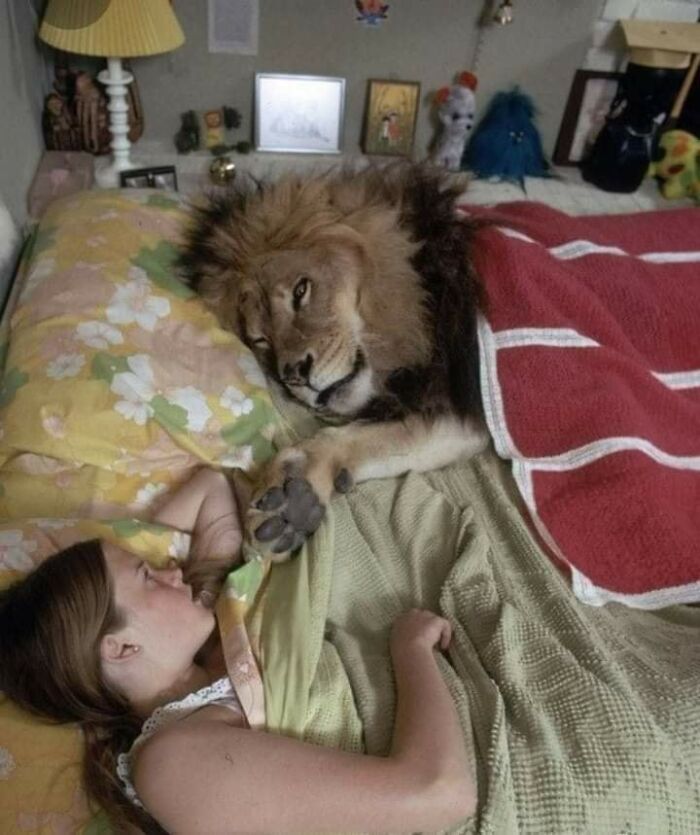 This Facebook Page Is All About Animal Images That Need To Be Seen (100 New Pics)