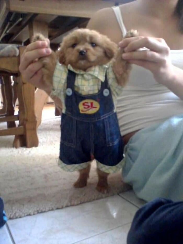 This Facebook Page Is All About Animal Images That Need To Be Seen (100 New Pics)