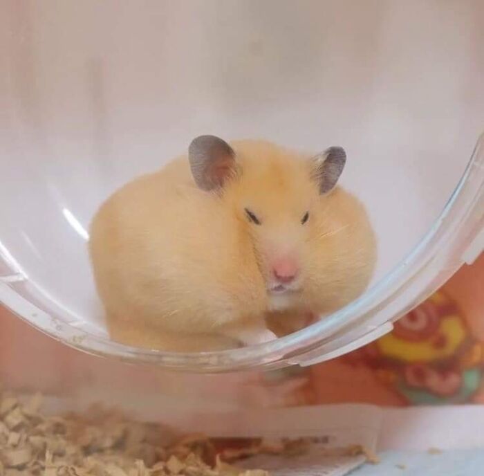 This Facebook Page Is All About Animal Images That Need To Be Seen (100 New Pics)