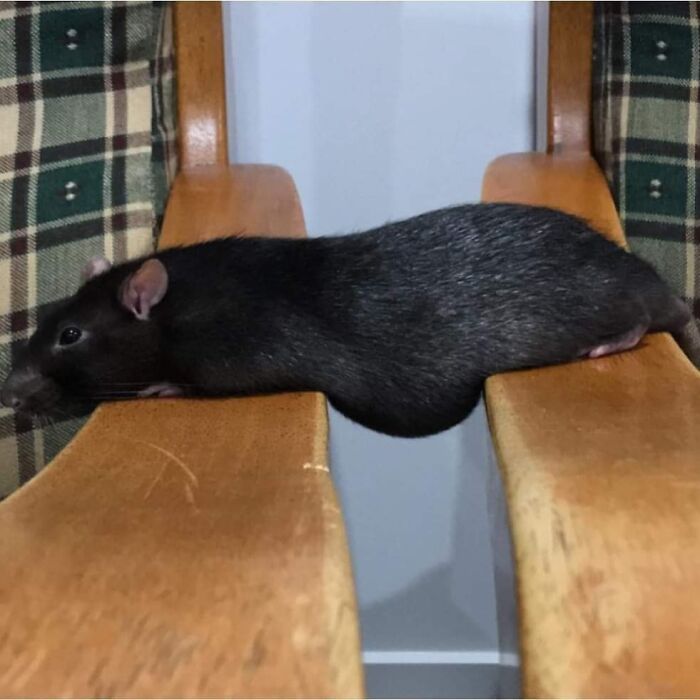 This Facebook Page Is All About Animal Images That Need To Be Seen (100 New Pics)