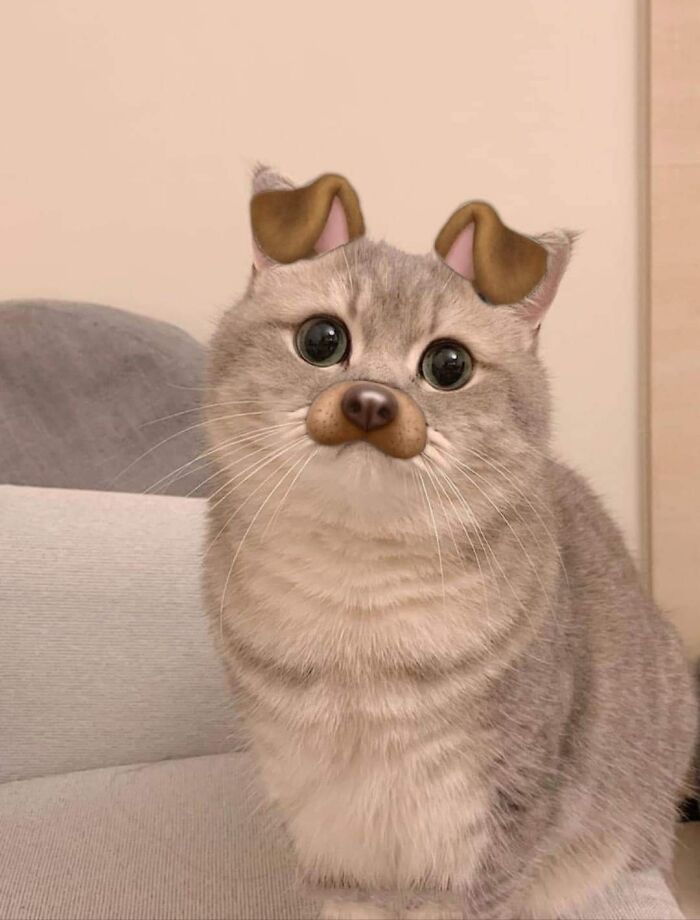 This Facebook Page Is All About Animal Images That Need To Be Seen (100 New Pics)