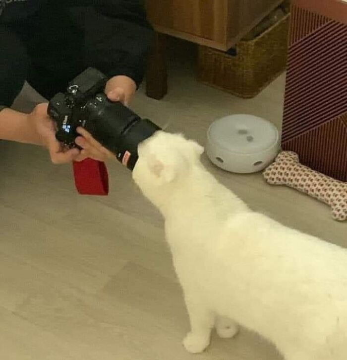 This Facebook Page Is All About Animal Images That Need To Be Seen (100 New Pics)