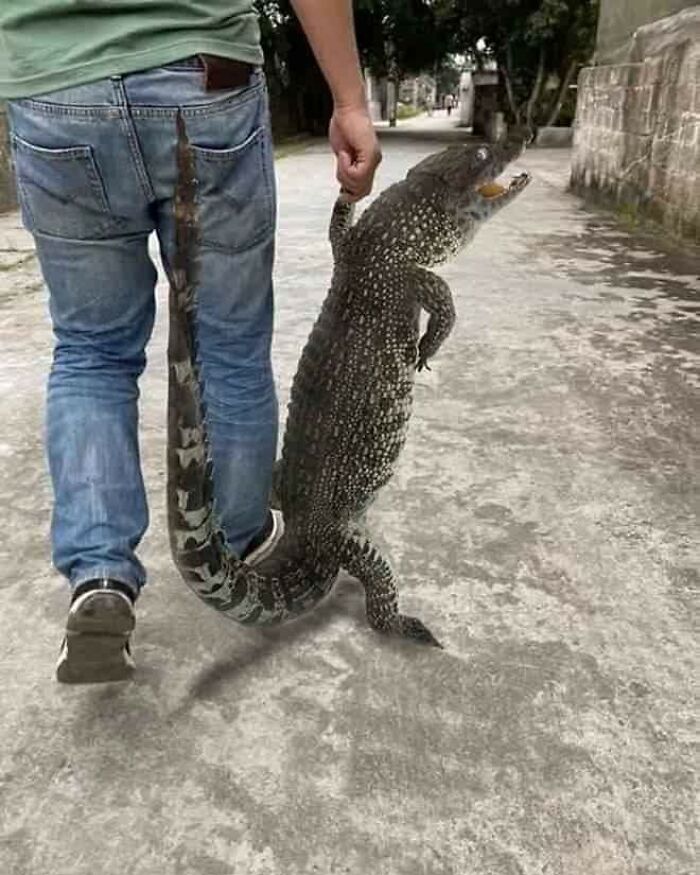 This Facebook Page Is All About Animal Images That Need To Be Seen (100 New Pics)