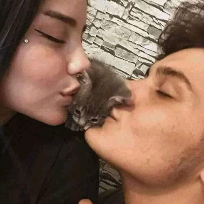 This Facebook Page Is All About Animal Images That Need To Be Seen (100 New Pics)