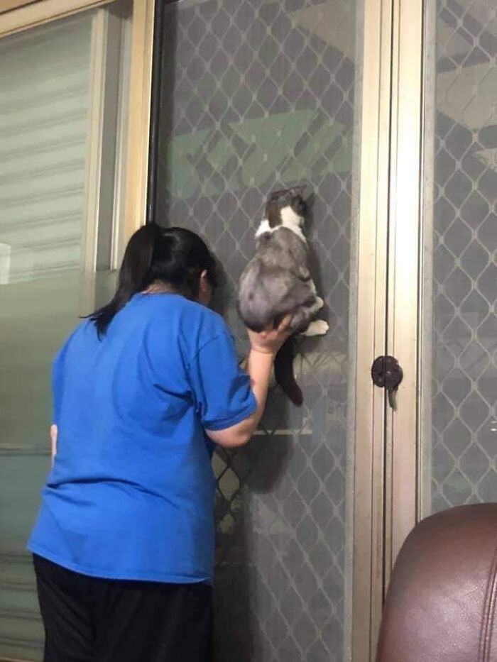 This Facebook Page Is All About Animal Images That Need To Be Seen (100 New Pics)