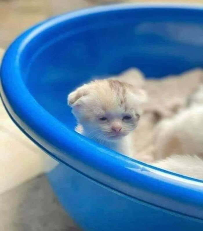 This Facebook Page Is All About Animal Images That Need To Be Seen (100 New Pics)