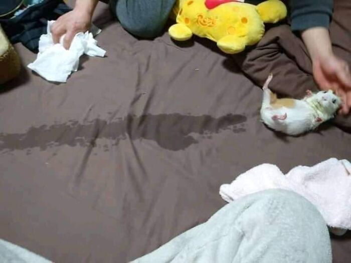 This Facebook Page Is All About Animal Images That Need To Be Seen (100 New Pics)