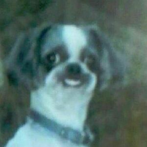 hannahhernandez avatar