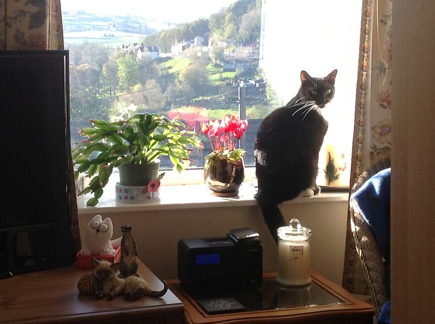 Gusto In His New Home - 2010