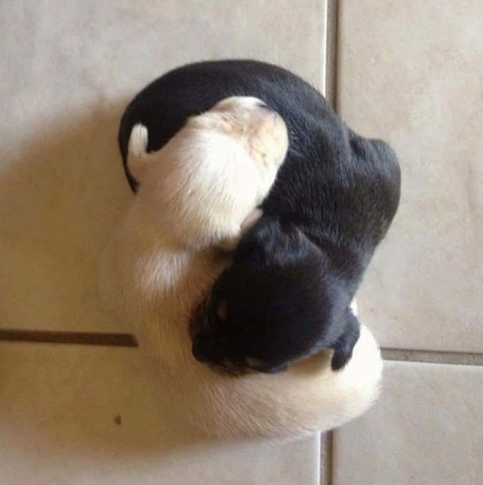 This Facebook Page Is All About Animal Images That Need To Be Seen (100 New Pics)