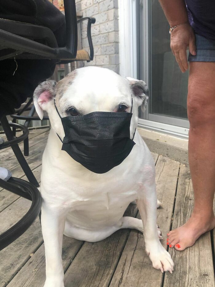 Goob Boy Following Safety Protocols