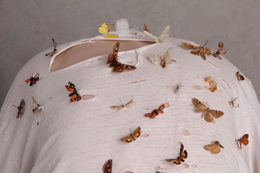 For My Father/ Moths