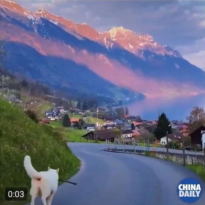 Chinese Propaganda Media Caught Lying Trying To Promote China Using Stolen Footage Of Swiss Alps