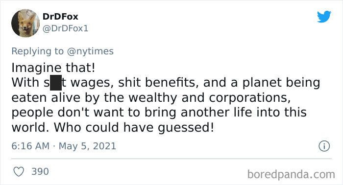 Women-Respond-Low-Birth-Rate-Reports