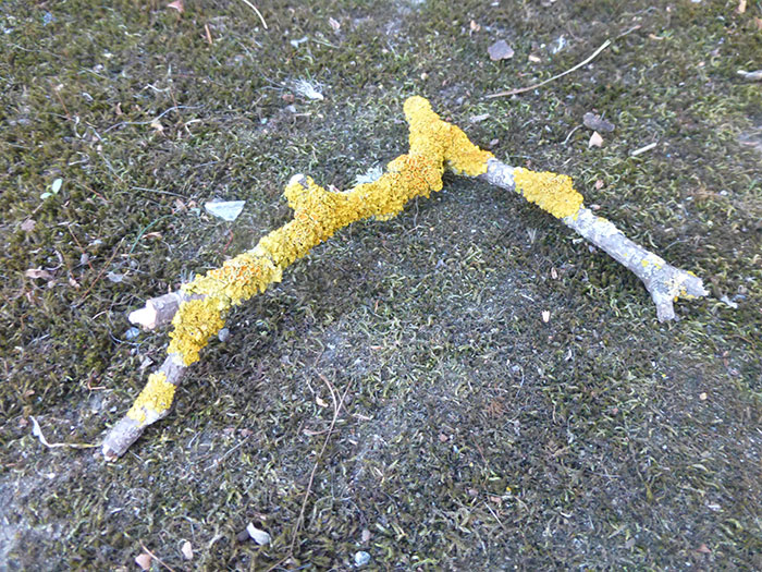 People Are Sharing The Dumbest Rules That Their Schools Ever Enforced, And Here Are 50 Of The Most Mind-Boggling Ones