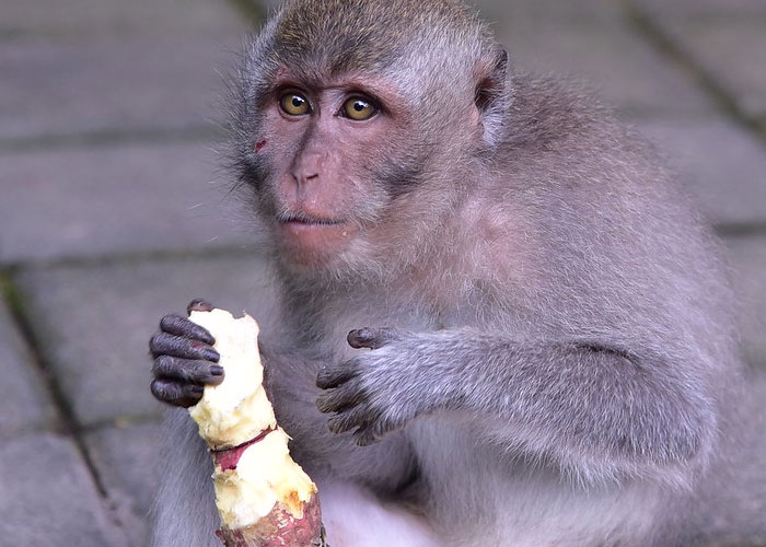 50 New ‘Today I Learned’ Facts That Prove It’s Never Too Late To Learn Something New