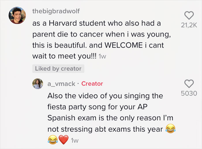 thebigbradwolf reacting about Abigail Mack Harvard essay and Abigail Mack replying to him