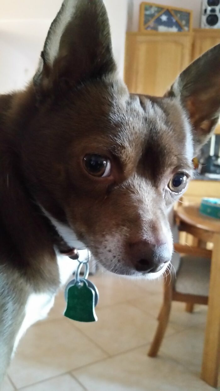 Jack The Rescue Àt His Finest