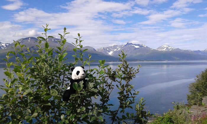 Best In Bringing Memories