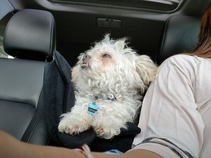 Dennis's Gnarly Underbite