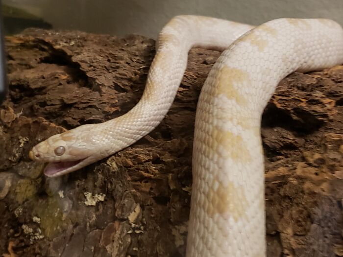 Little Old Man Drooling In His Sleep. Miss You, Buddy.