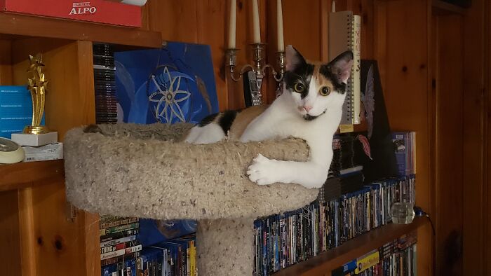 Roxy Would Like A Word With You...