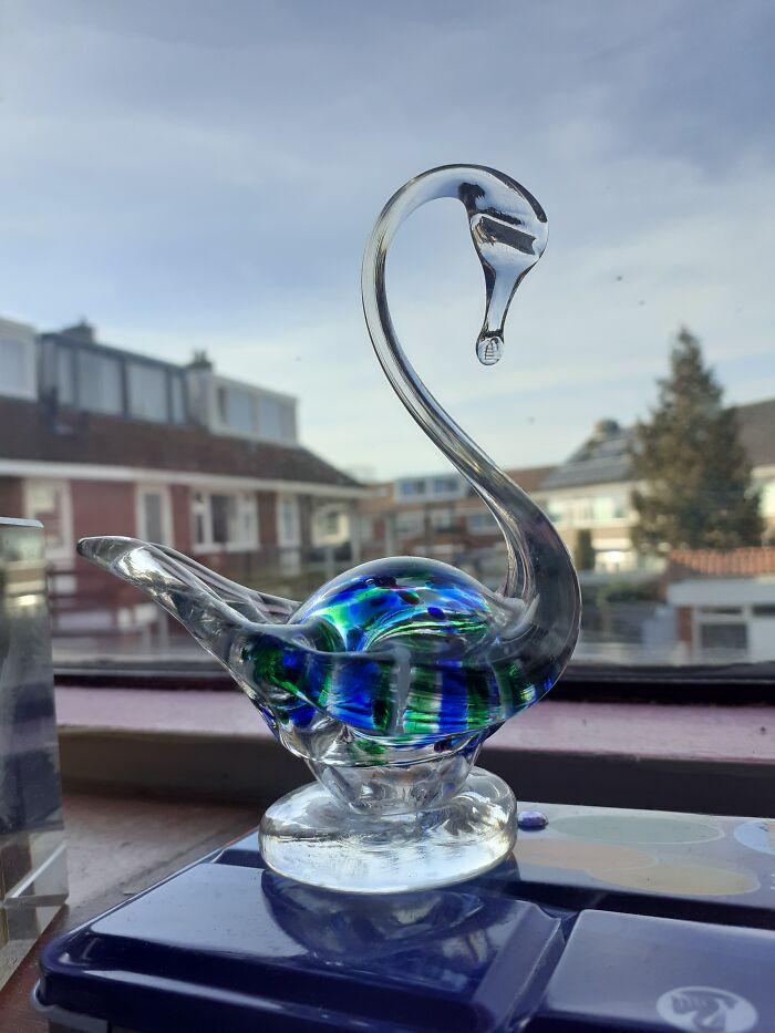 This Pic Of My Glass Swan!