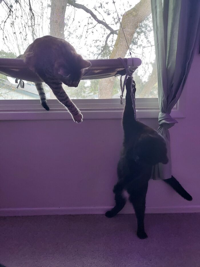 Stop. Touching. My. Window Seat