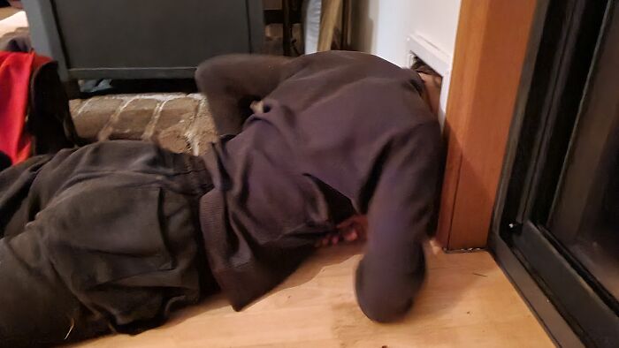 Stuck In The Pet Door