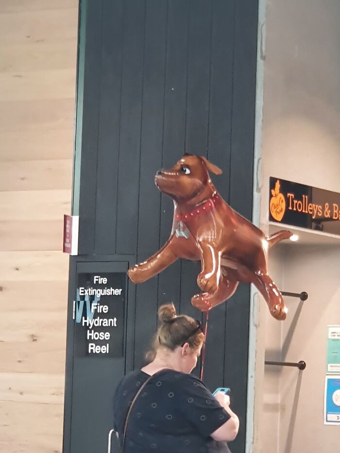 Saw This Dog 🐕 Balloon 🎈 At Our Local Mall...😆