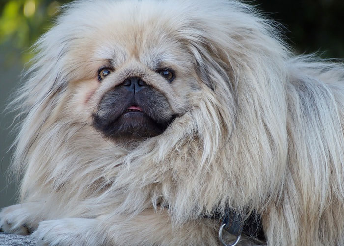 50 New ‘Today I Learned’ Facts That Prove It’s Never Too Late To Learn Something New