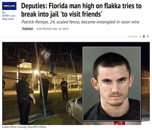 10 Of My Favorite Florida Man Posts