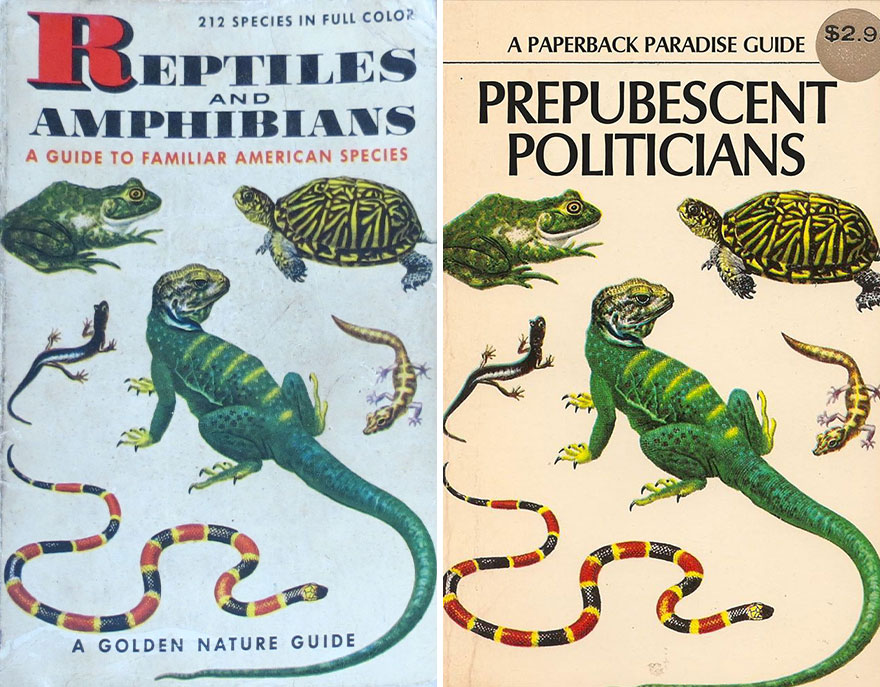 Paperback-Paradise-Hilarious-Book-Cover-Photoshop