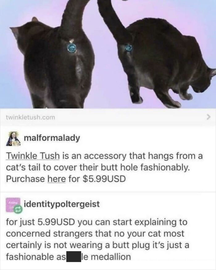 Because God Forbid Your Cat’s Butthole Is Exposed!