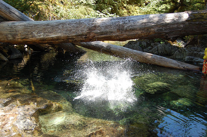 Nothing Went As Planned: 32 Times School Trips Failed So Badly, The Teachers Couldn't Help But Share It Online