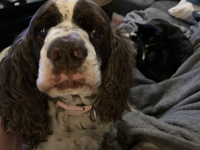 Look What They Brought Home! Just Look!