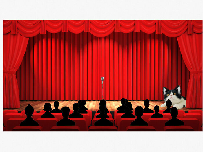 A Night At The Theat-Purr