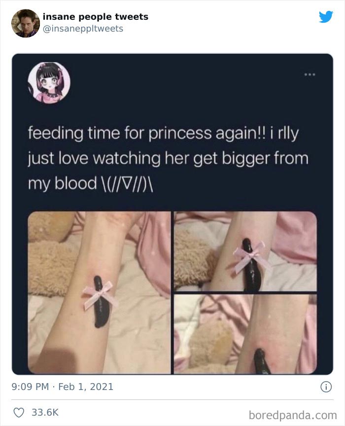 Insane-People-Tweets