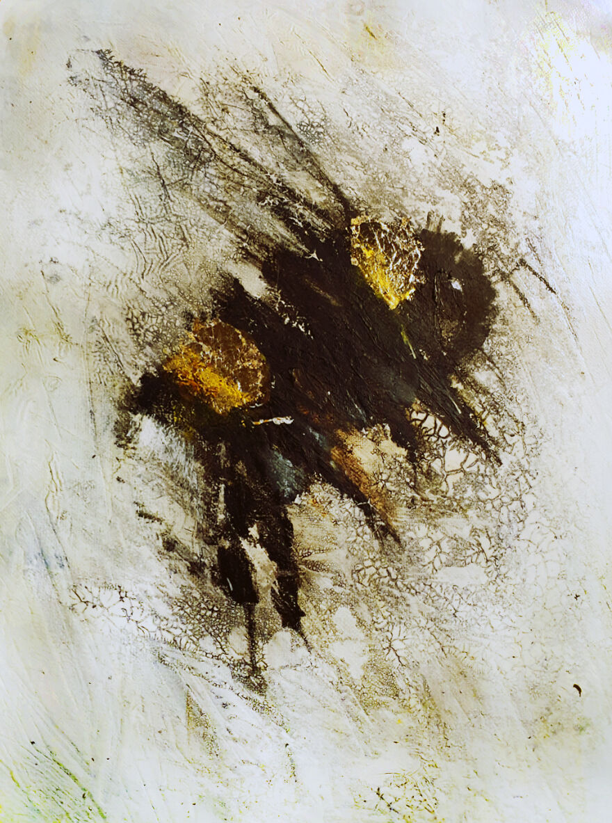 Bombus Terrestris (Buff-Tailed Bumblebee)