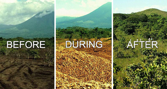 30 ‘Today I Learned’ Facts That Show It’s Never Too Late To Learn (New Pics)