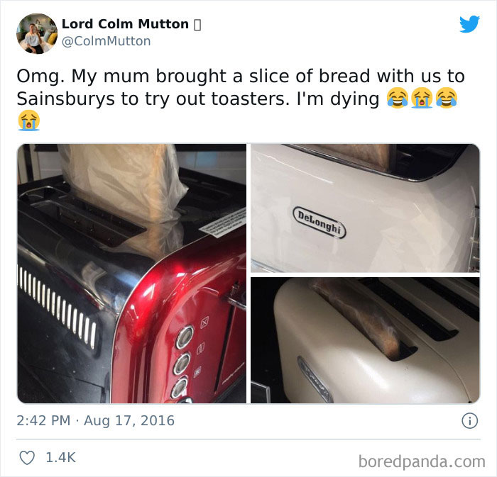 Mom Brought A Slice Of Bread To Try Out Toasters