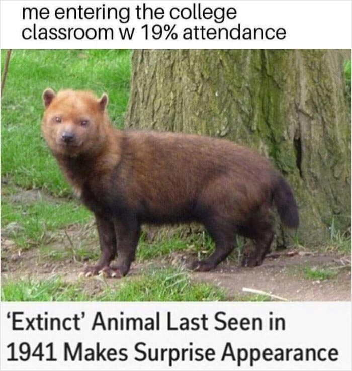 I’m The Rarest In My College